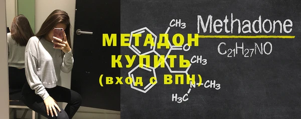 индика Ладушкин