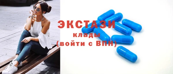 индика Ладушкин