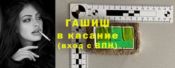индика Ладушкин