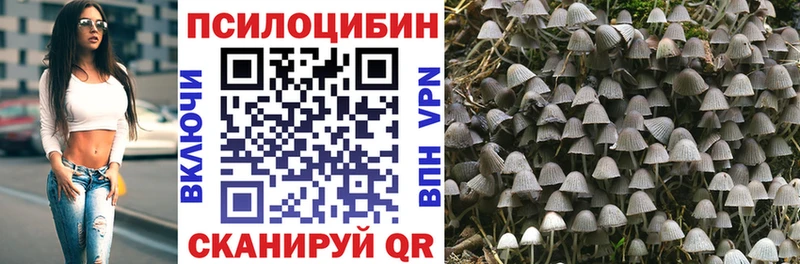 Купить закладки  Ливны  Псилоцибиновые грибы мухоморы 